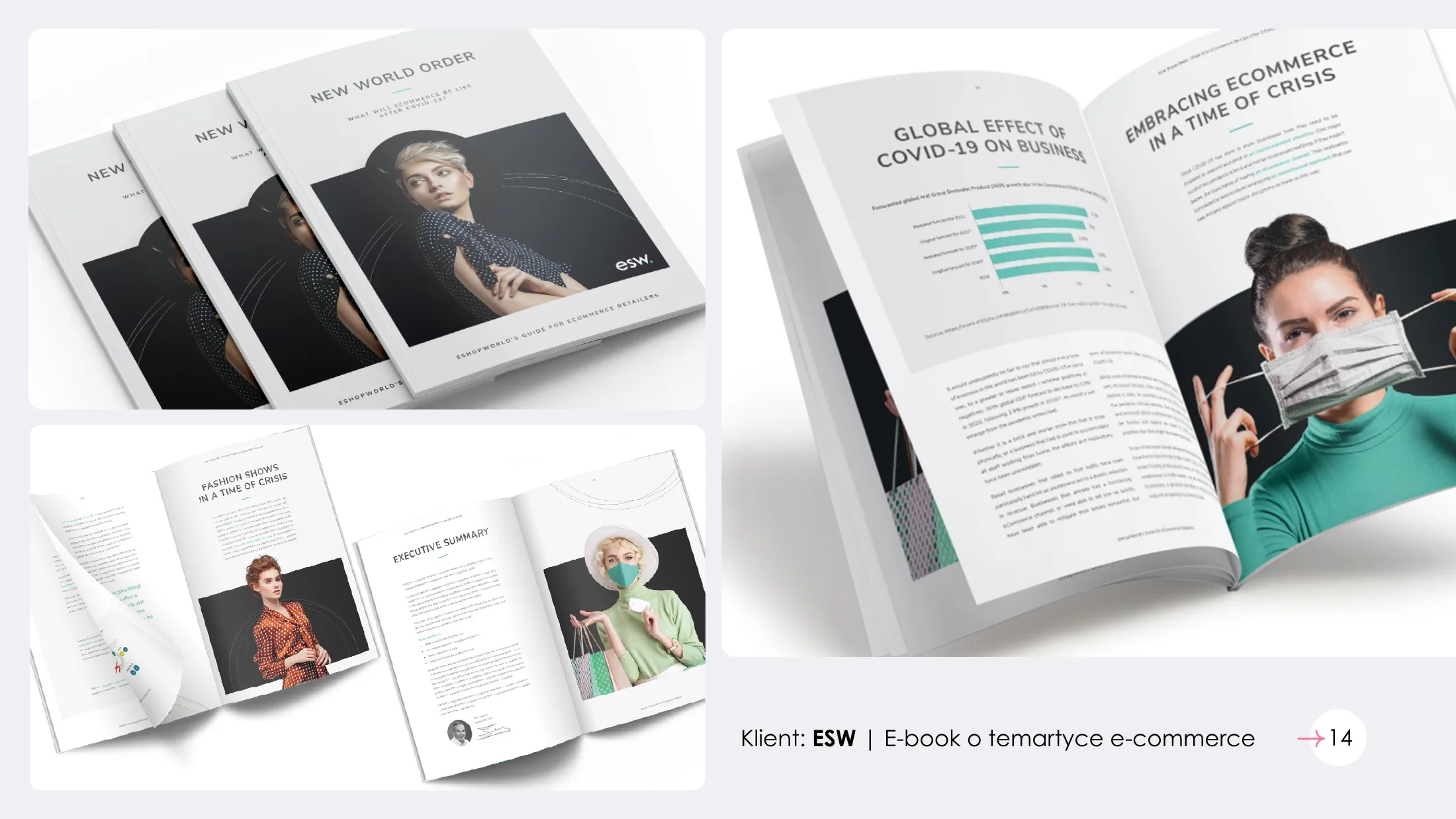 ESW: e-book o e-commerce, projekt okładki i rozkładówek.
